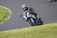 Evening Low_Mid Group Multicolour Bikes